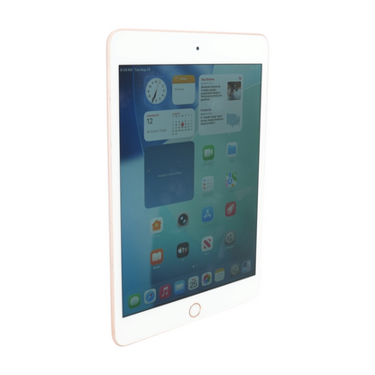 iPad Mini 5 7.9" Gold 5th Gen 64GB WiFi Tablet