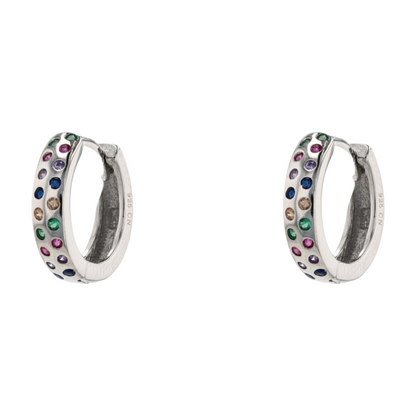Sterling Silver Hoop Earrings