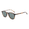 Tortoise Square Sunglasses