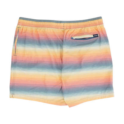 Multi Striped Swim Bottom