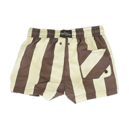 Brown Striped Active Shorts
