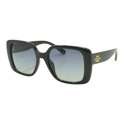 Black HC 8386U Oversized Sunglasses