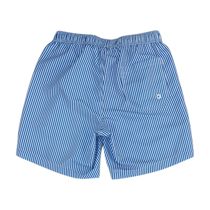 Blue Striped Swim Bottom