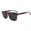 Tortoise COL. C05 Square Sunglasses