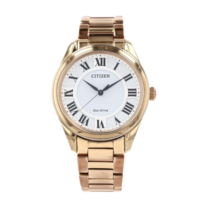 Arezzo Stainless Steel Watch
