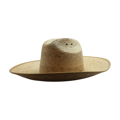Brown Sun / Beach Hat
