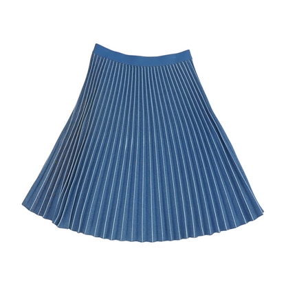 Blue Striped Midi Skirt