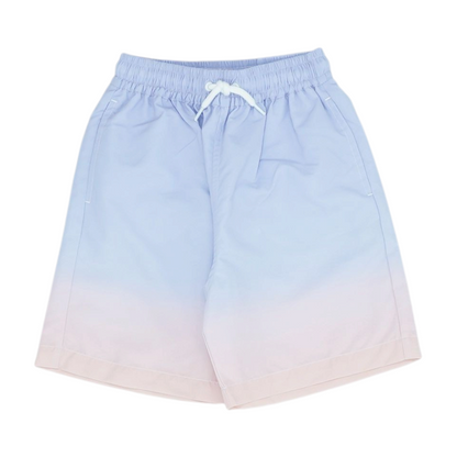 Purple Ombre Swim Bottom