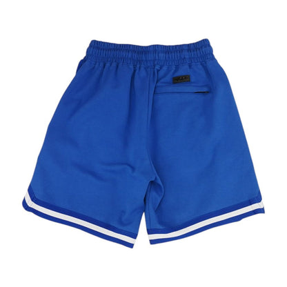 Blue Embroidery Detail Active Shorts