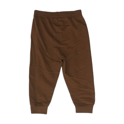 Brown Active Pants