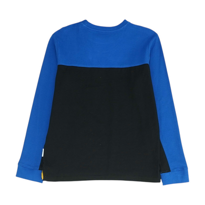 Blue Color Block T-Shirt