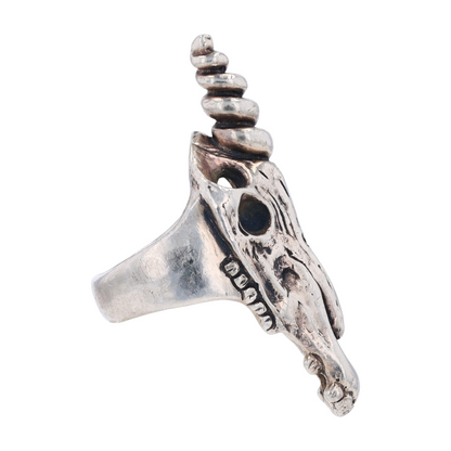 Sterling Silver Fashion Ring