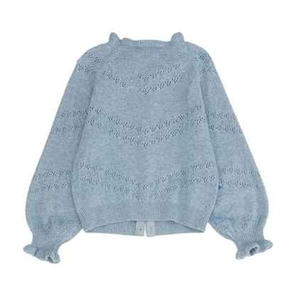 Blue Cardigan Sweater