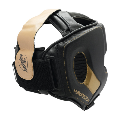 Boxing Headgear