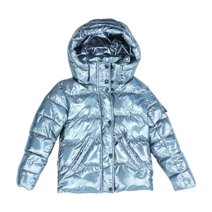 Silver Jacket