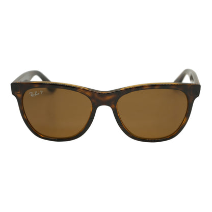 Tortoise RB 4184 Oval Sunglasses