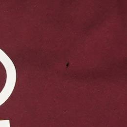 Burgundy Solid Active Set
