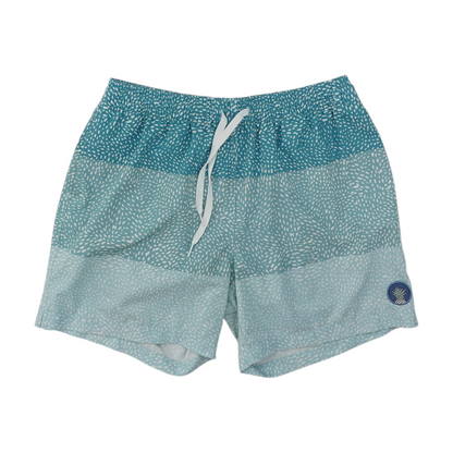 Green Color Block Swim Bottom