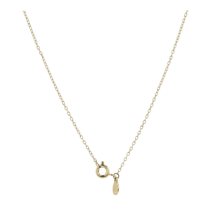 Costume Chain Necklace
