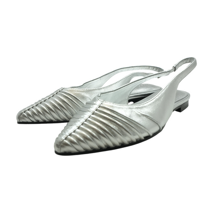Silver Flats