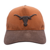 Tan Texas Longhorns Ballcap