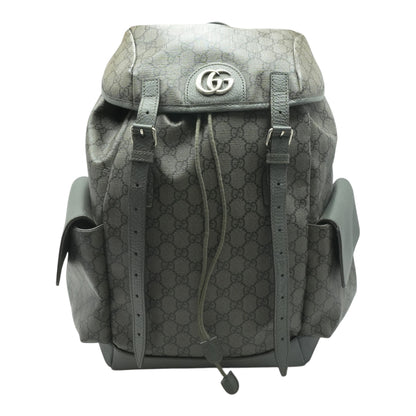 Gray Ophidia Backpack
