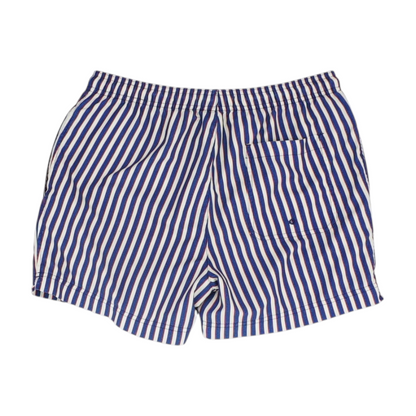 Blue Striped Swim Bottom
